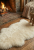 Gemini_Generated_Image_o24tsdo24tsdo24t.png