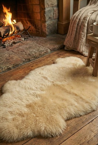 alpine-product-1765537518089.png