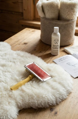 alpine-product-1765544112530.png