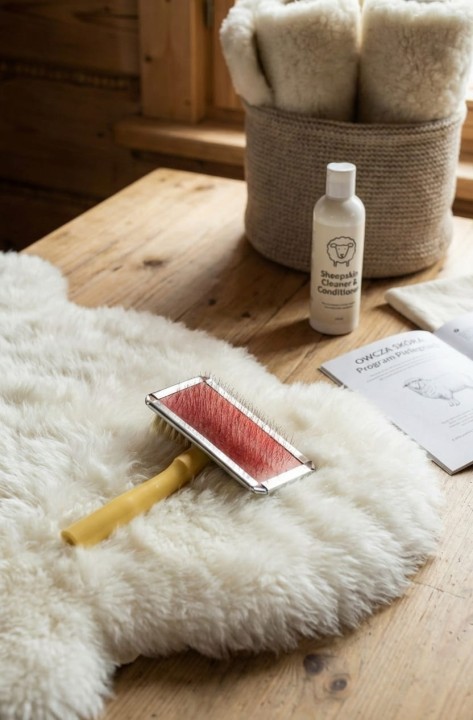 alpine-product-1765544112530.png
