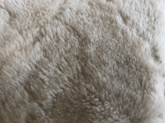 Teppich/Sesseldecke beige